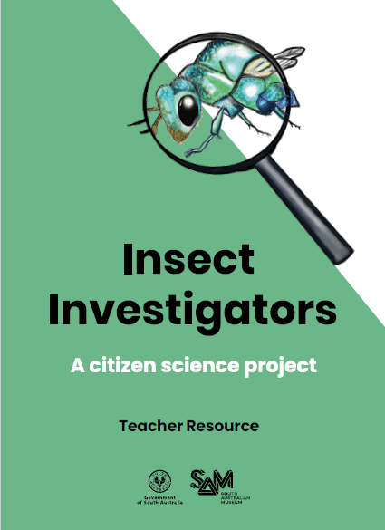 Insect Investigators Teacher Resource